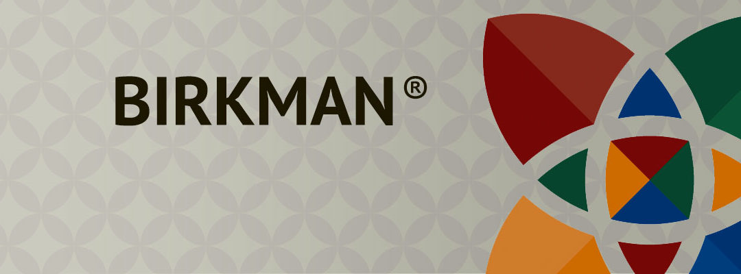 What is the Birkman and How does The Wineinger Company use it to Change Lives