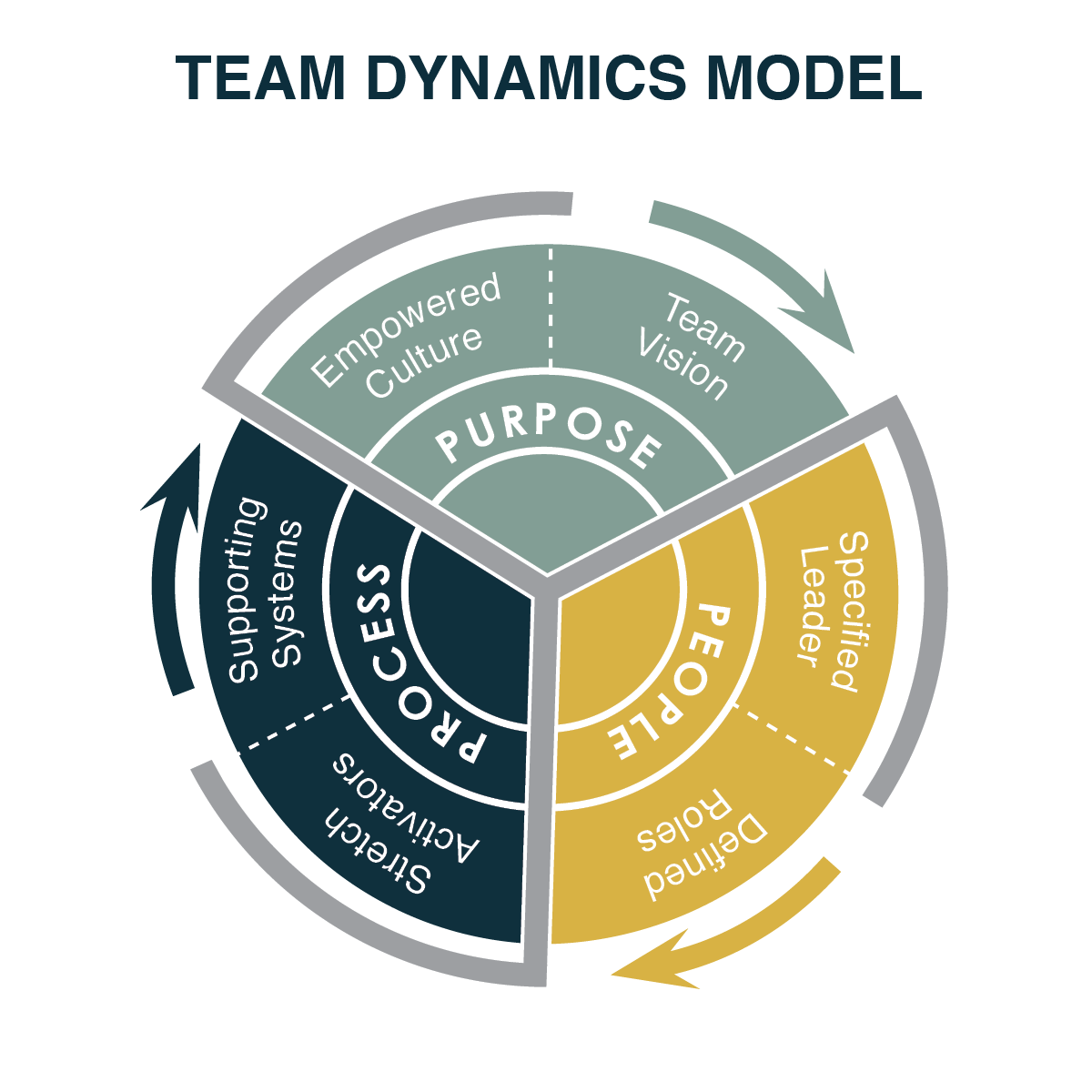 case study on team dynamics